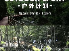 -牛背梁国家森林公园