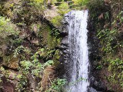 -马峦山郊野公园