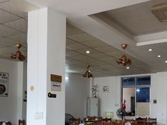 -15年老字号鑫鑫猪肚鸡·椰子鸡海南火锅(兴隆华侨农场店)