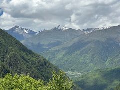 -金鼎雪山牦牛杂火锅(理县总店)