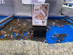水产区-盒马鲜生(昆城店)