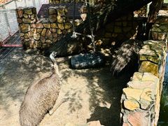 -J Create城市露营咖啡·简餐·宠物(上海动物园店)