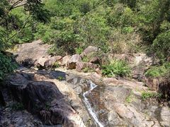 -广州白江湖森林公园