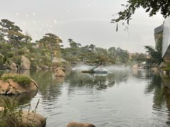 -罗红摄影艺术馆