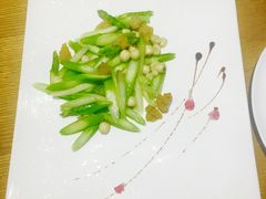 -菩提树·素食餐厅(汇智国际商业中心店)