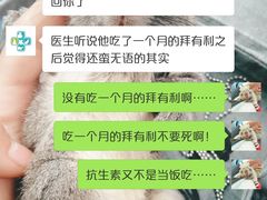 -雨林宠物医院 非犬猫异宠专科