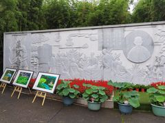 -陈家山荷花公园