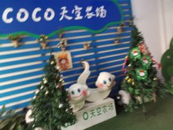 点击看大图 -可可天空农场(东部新城银泰店)