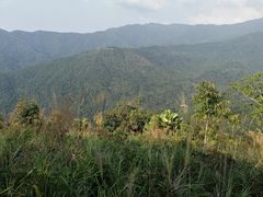 -海南霸王岭国家森林公园
