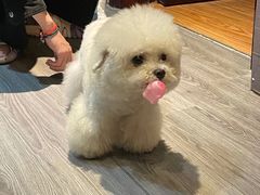 -伽利略剧本探案馆(国贸店)