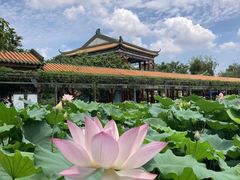 -宝墨园景区