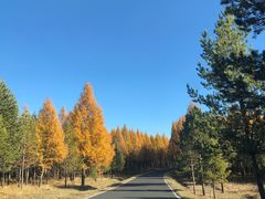 -塞罕坝国家级自然保护区