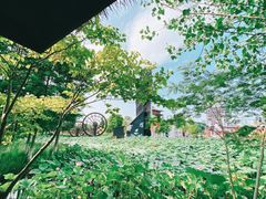 -东台西溪天仙缘景区