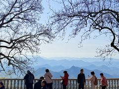 -莫干山风景区