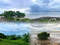 -宝安西湾红树林湿地公园