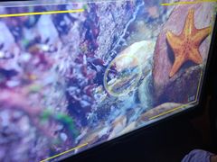 -沈阳海洋探索中心