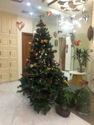 点击看大图 -芳朵美容养生SPA