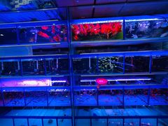 -三旗百汇商品城