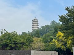 -深圳国际园林花卉博览园