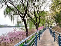 -大兴滨河森林公园