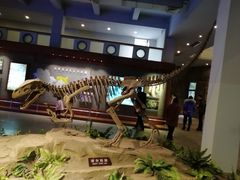 -自贡恐龙博物馆