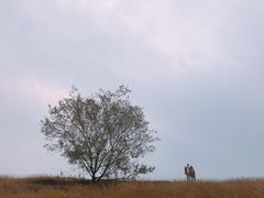 -恋山坝上草原