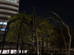 -一蘭拉面(新宿中央东口店)