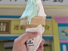 -柠檬车露(卖草地店)
