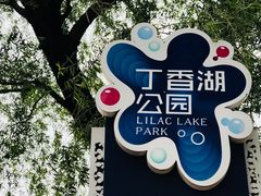 -丁香湖公园