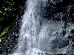 -马峦山郊野公园