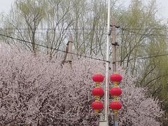 -南长河公园
