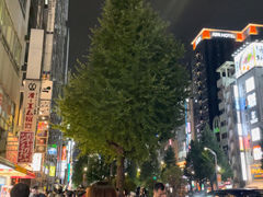 -秋叶原电器街