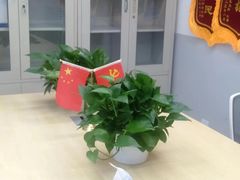 -北京华佳律师事务所(双井店)