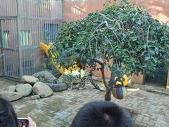 -青藏高原野生动物园