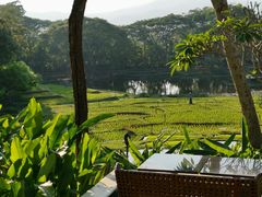 -四季酒店下午茶