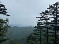 -朱雀国家森林公园