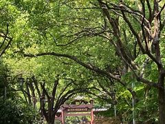 -杭州半山国家森林公园