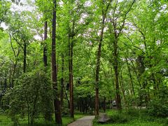 -杭州植物园