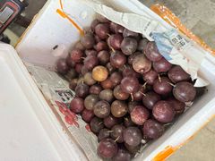 -林旺社区水果市场