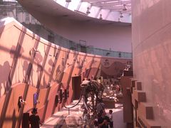 -陕西自然博物馆