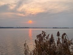 -漕湖湿地公园