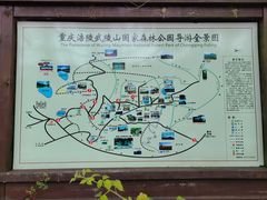-武陵山森林公园