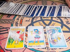 -雪灵魔法世界SHELLY’S TAROT(大良桂畔里店)