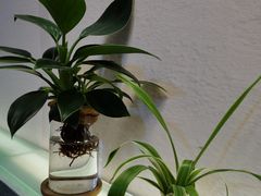 -红小满休闲餐厅(十全街店)