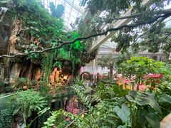 -正佳雨林生态植物园