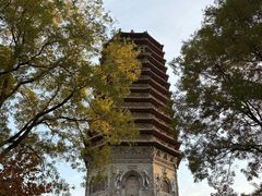 -玲珑塔公园