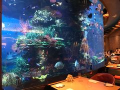 -迪拜帆船酒店海底餐厅
