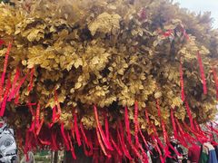 -狼山风景名胜区