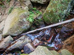 -莫干山风景区