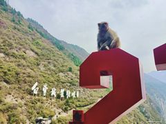 -白帝城·瞿塘峡景区
